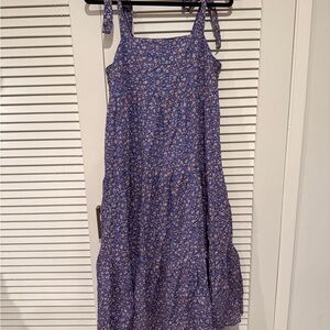 Madewell Blue Floral Dress